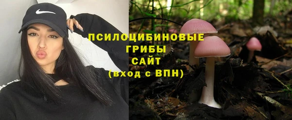 mdpv Верея