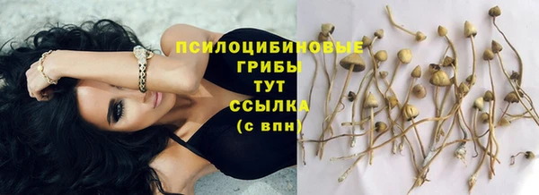 таблы Верхний Тагил