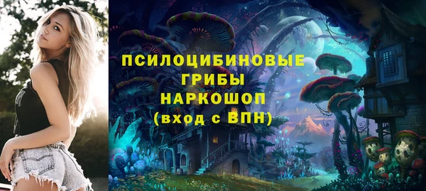 mdpv Верея