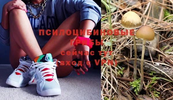mdpv Верея