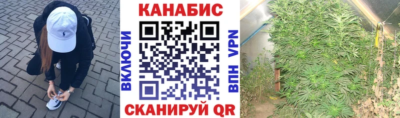 МАРИХУАНА ГИДРОПОН  Рязань 